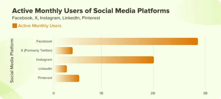 social media management