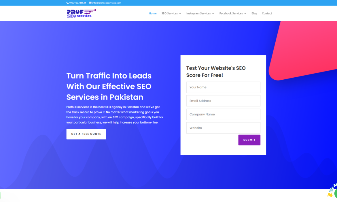 Prof Seo Services